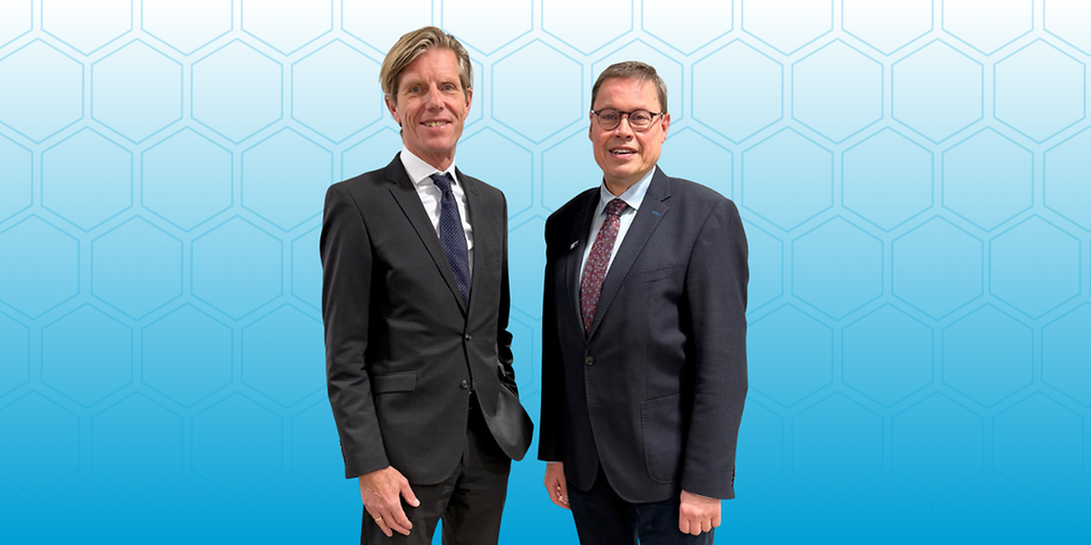 hauptartikel-leitlinien