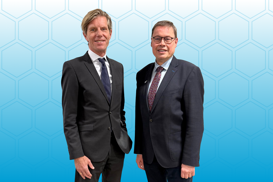 hauptartikel-leitlinien