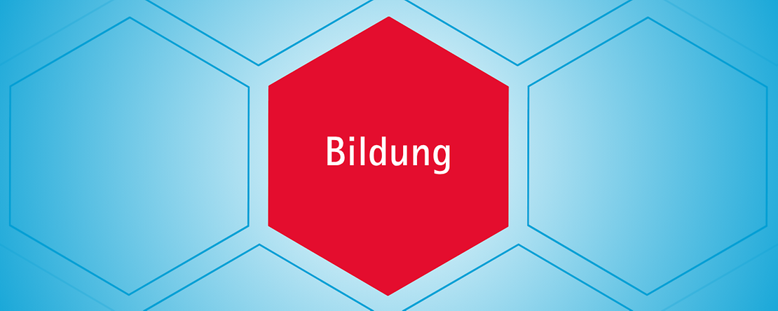 ltw-bild-bildung
