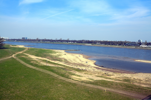 niedrigwasser-rhein